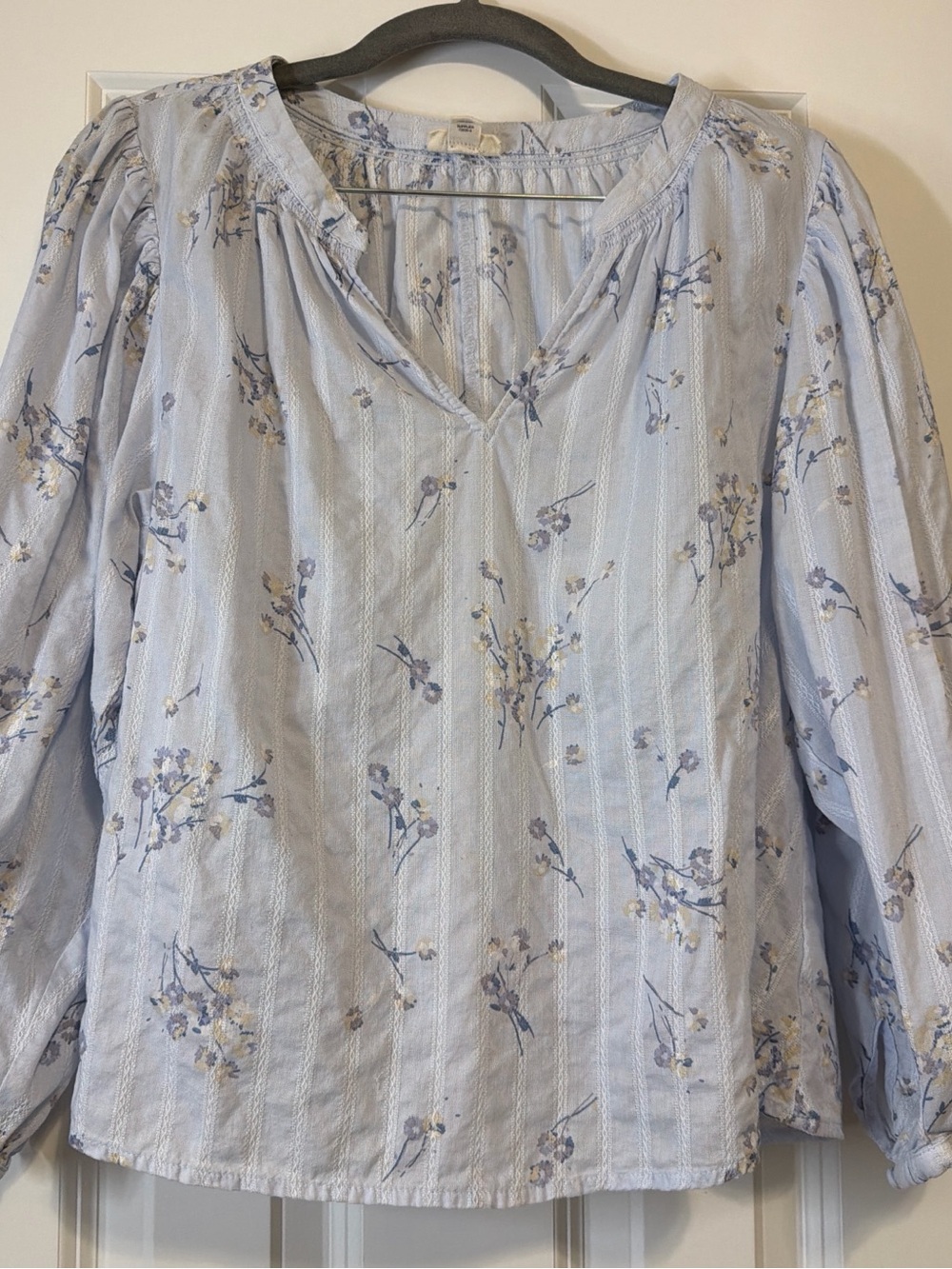 a.n.a Light Blue Cotton Floral Peasant Blouse